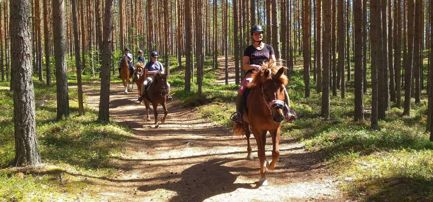 Photo from the Finnhorse Adventures (Finland) ride.