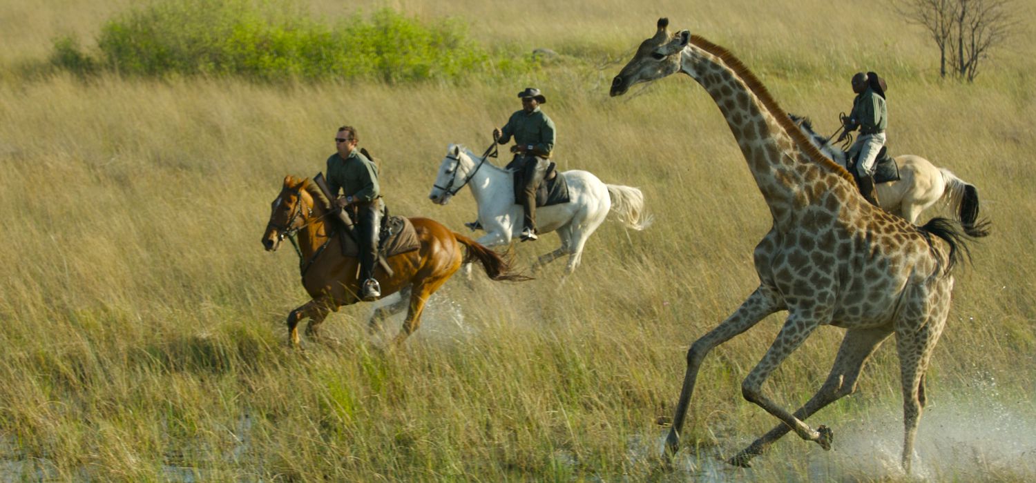 Photo from the African Horseback Safaris (Macatoo) (Botswana) ride.