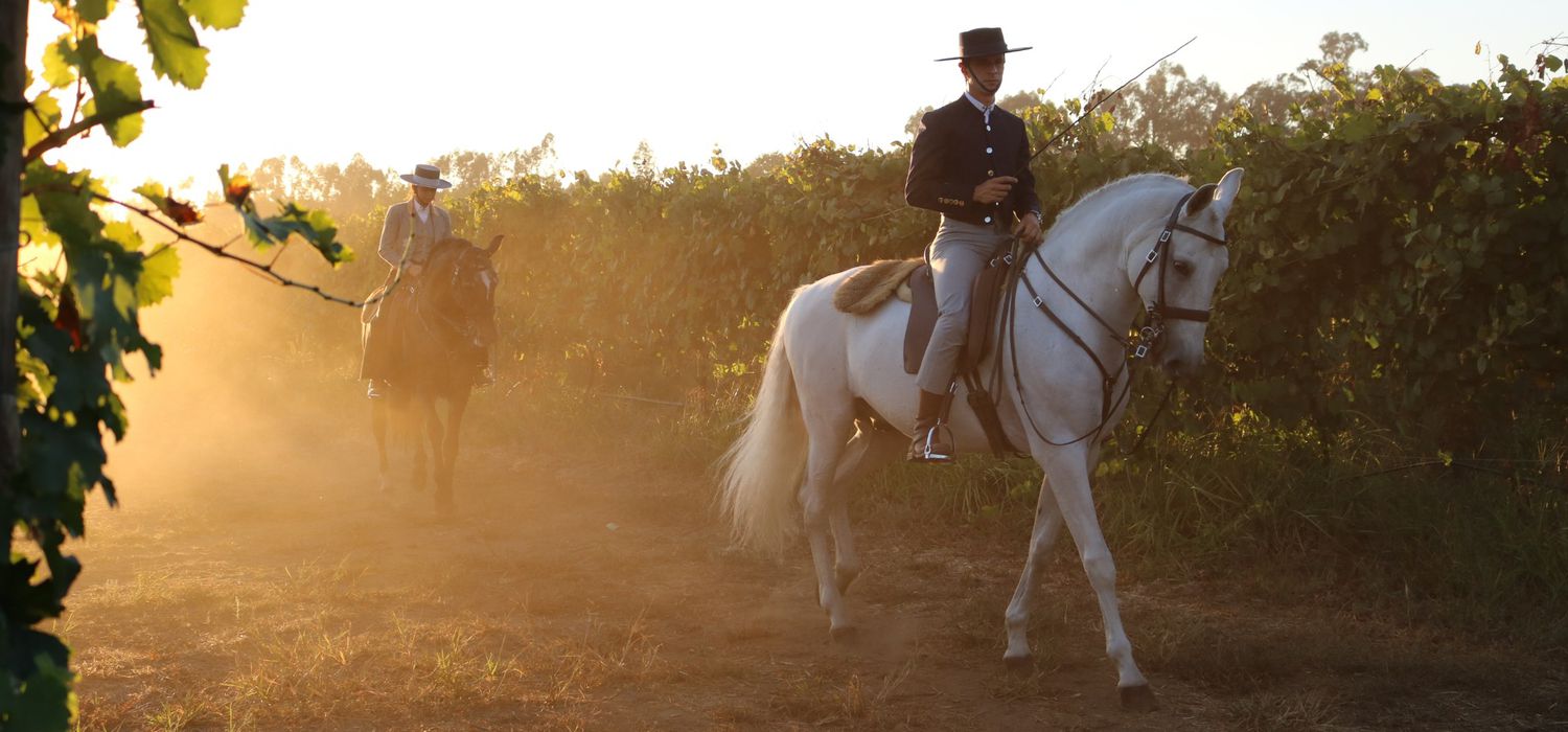 Photo from the Portugal Equestrian ride.