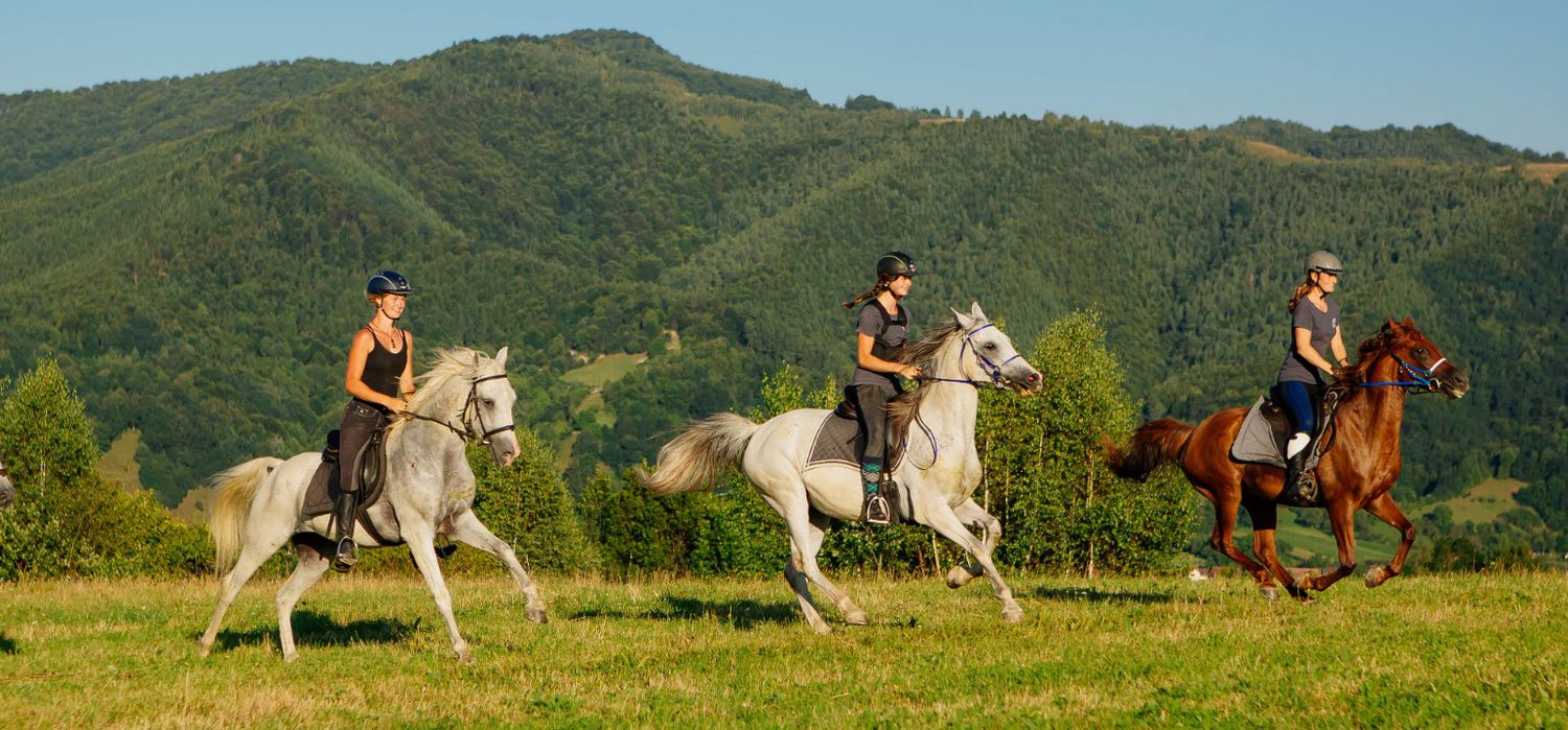 A view of the Transylvania Trails (Equus Silvania) ride in Romania