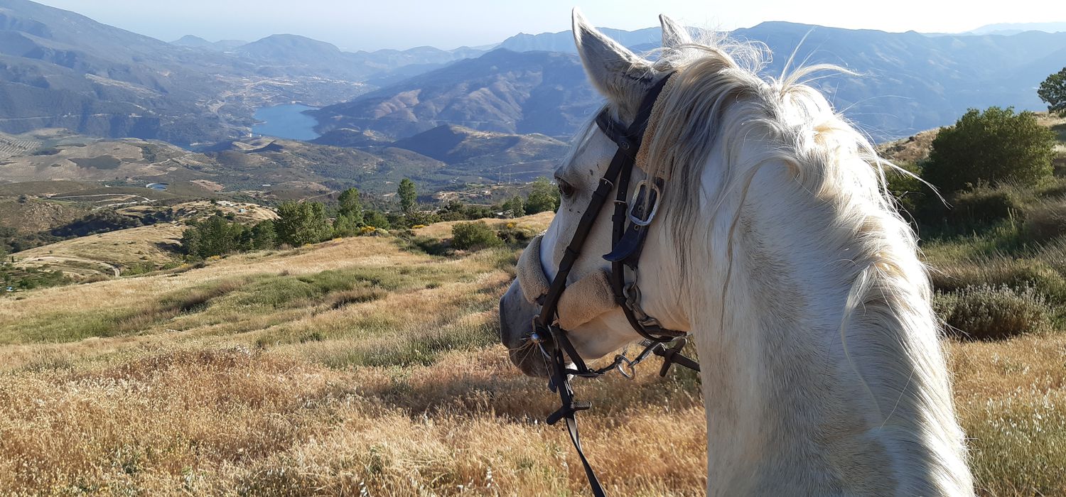 Photo from the Andalucia Trails ride.