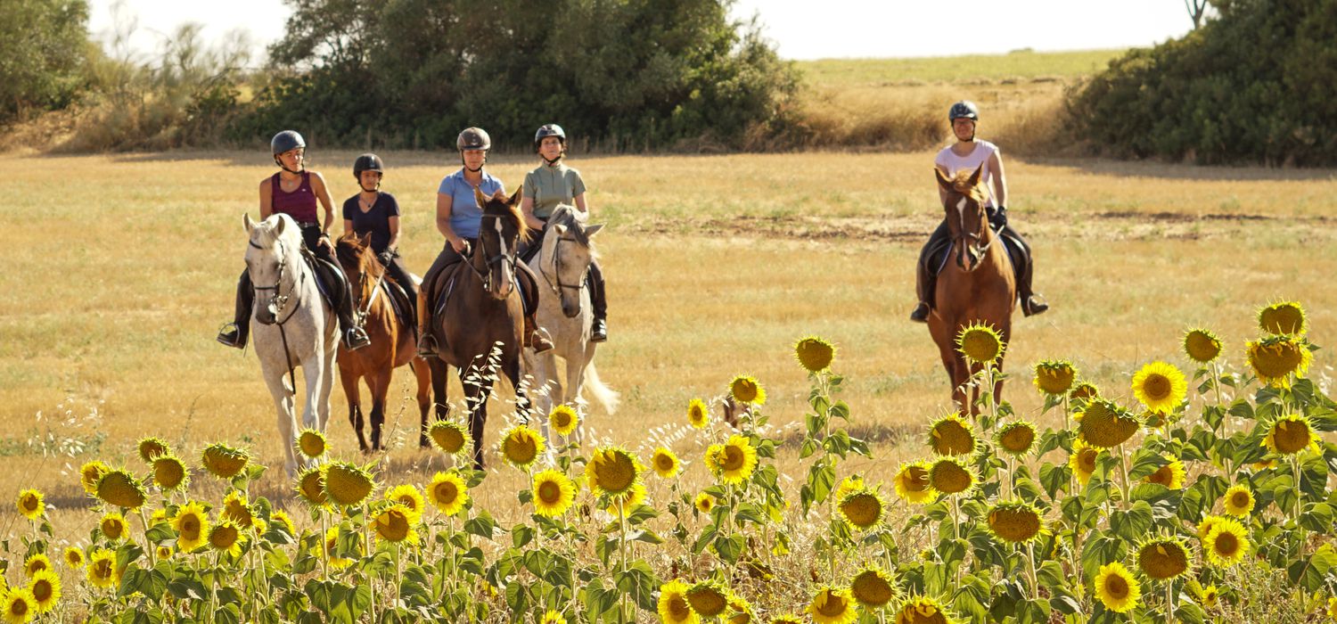 Photo from the Epona Dressage and Trails ride.