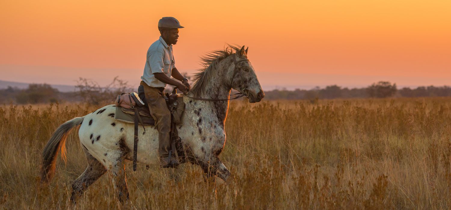 Photo from the Horizon Horseback Adventures (South Africa) ride.