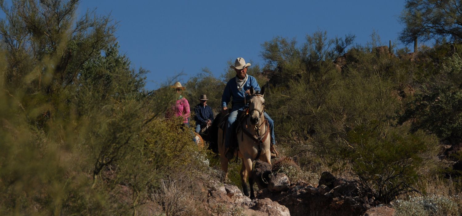 Photo from the White Stallion Ranch (USA) ride.