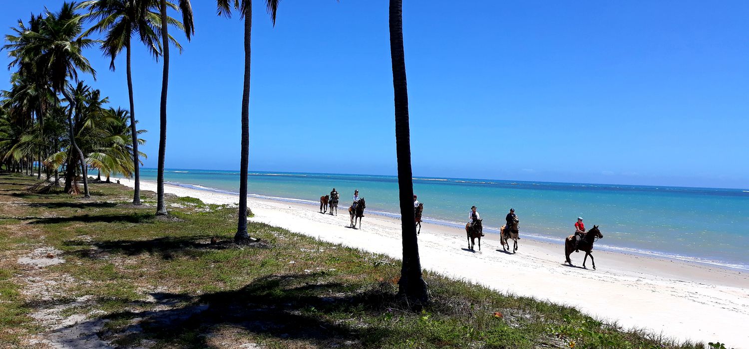 Photo from the Coconut Trail ride.