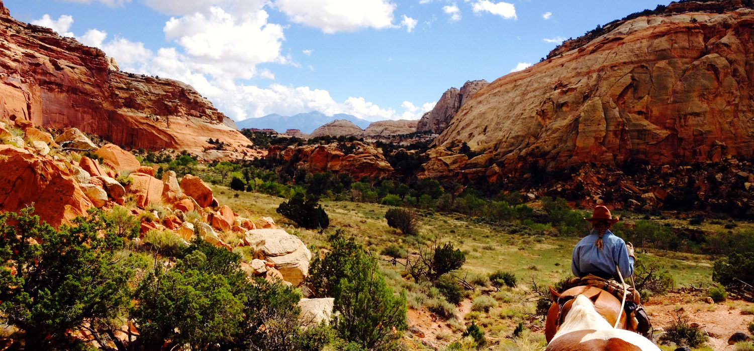 Photo from the Utah Backcountry Trails (USA) ride.