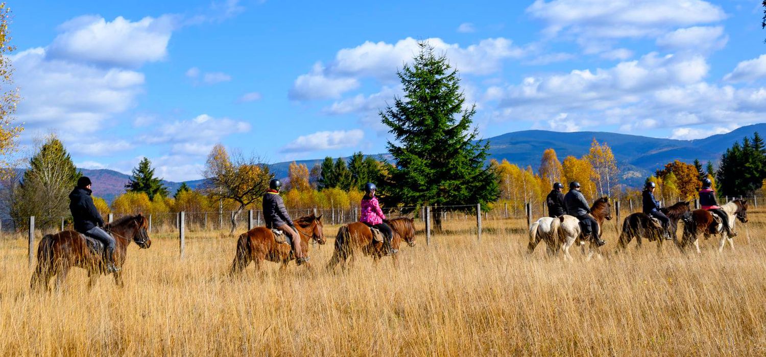 Photo from the Icelandics in Carpathia (Romania) ride.