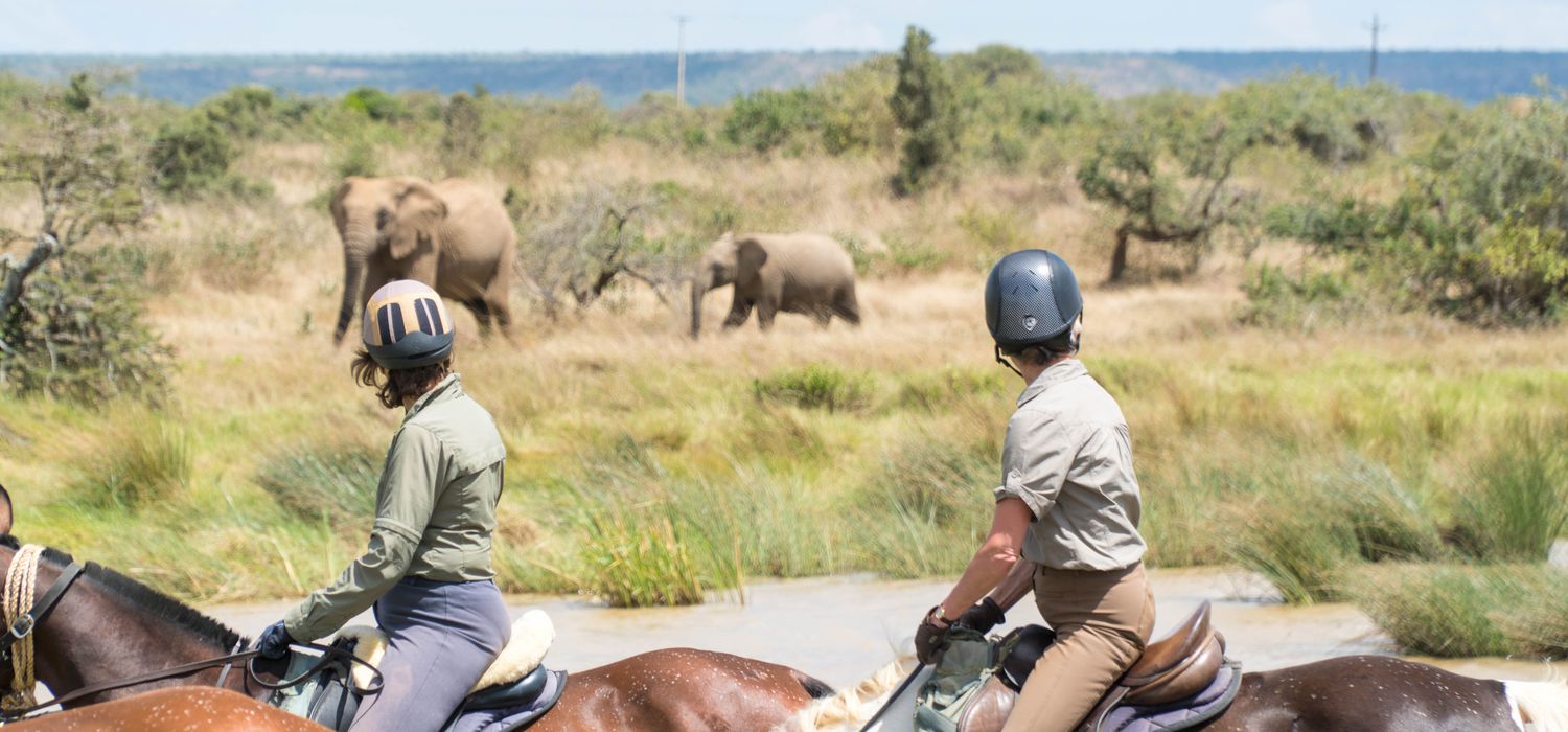 Photo from the Offbeat Safaris ride.