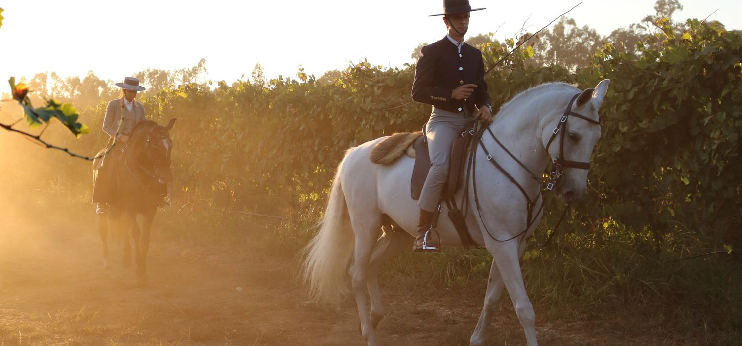 Photo from the Portugal Equestrian (Portugal) ride.