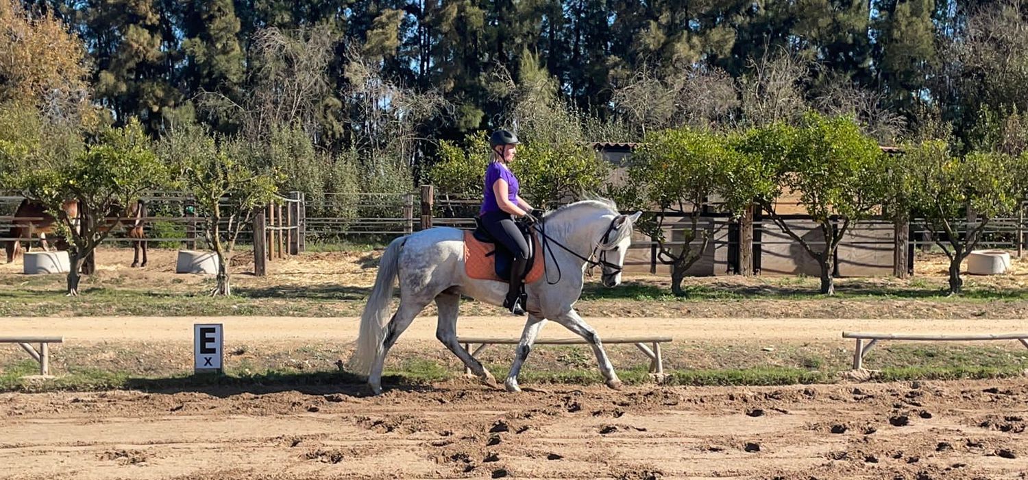 Photo from the Doñana Dressage ride.