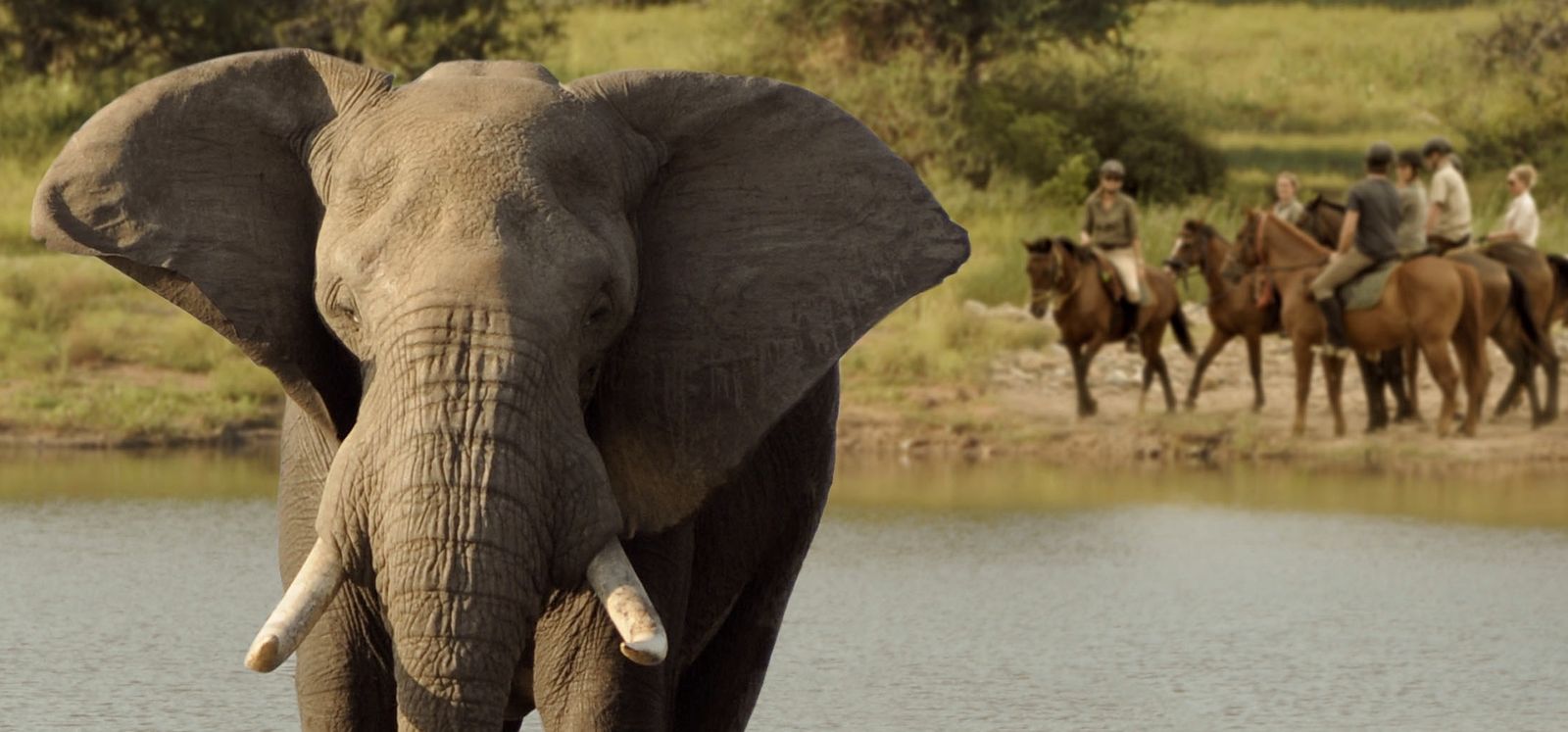 Photo from the Waterberg Big Five Safari ride.