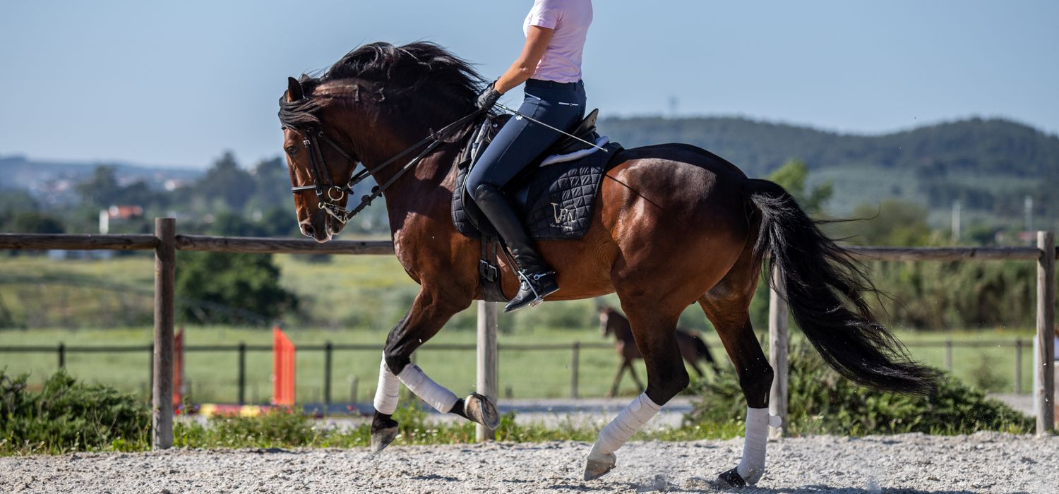 Photo from the Santarém Jumping & Dressage ride.