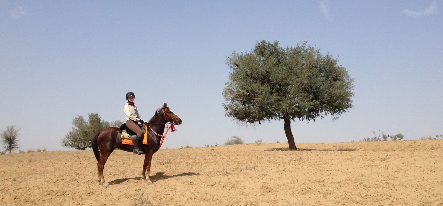 Photo from the Tours of the Raj ride.