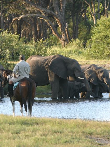 hwange horse safari