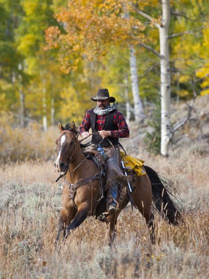 Wyoming Lodge and Working Guest Ranch riding holiday in USA - Far and Ride