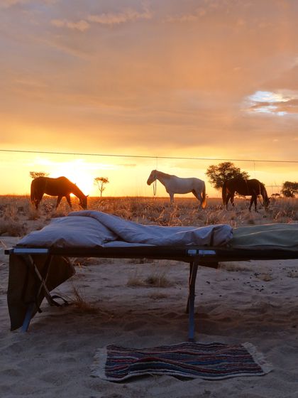 horse riding safari namibia