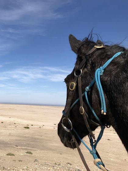 horse riding safari namibia