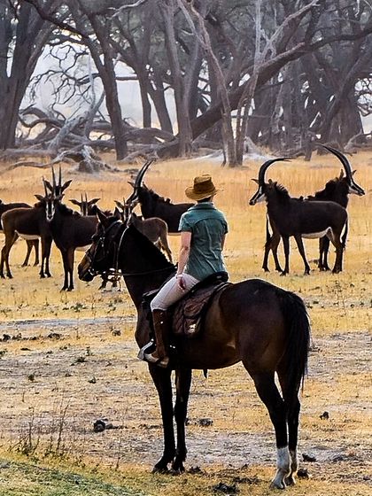 varden horse riding safaris