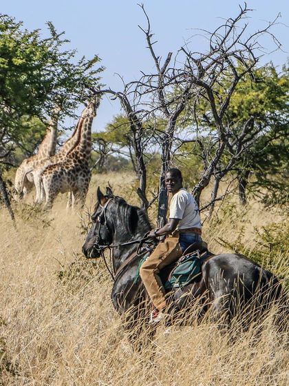 hwange horse safari