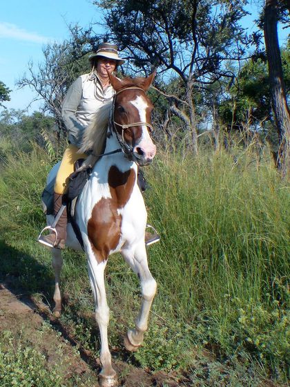 hwange horse safari