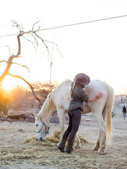 horse riding safari namibia