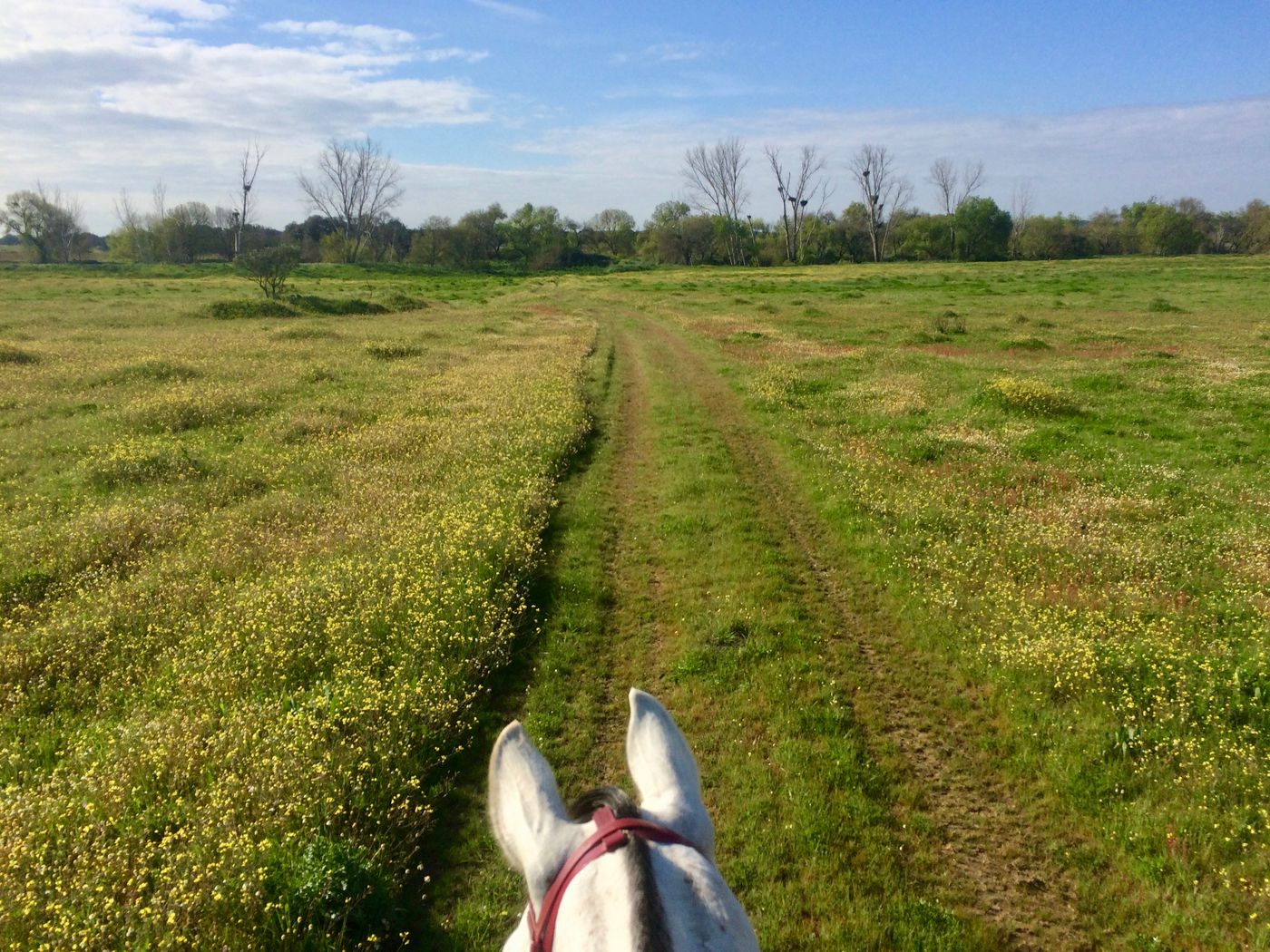 Riding & Art itinerary.
