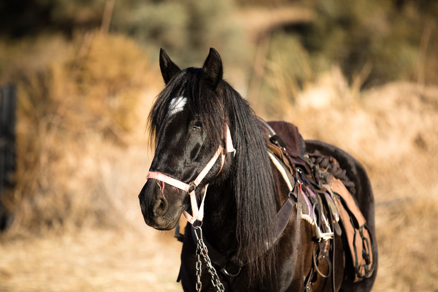 The Alpujarra Ride itinerary.