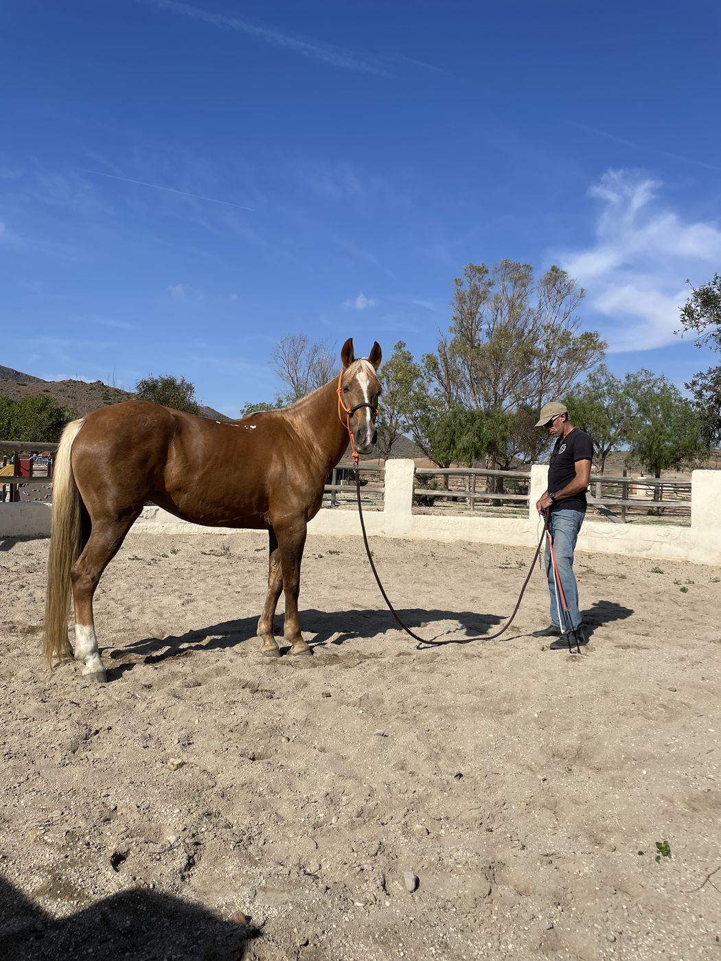 Whispers and Gallops itinerary.