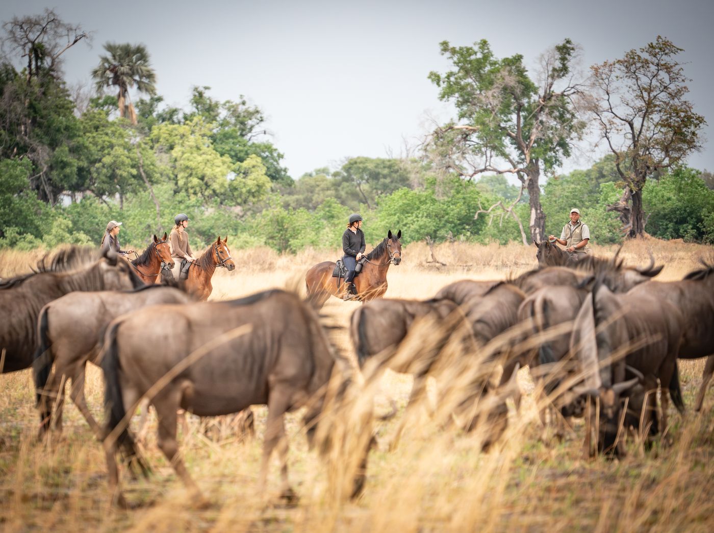 5 night itinerary itinerary.