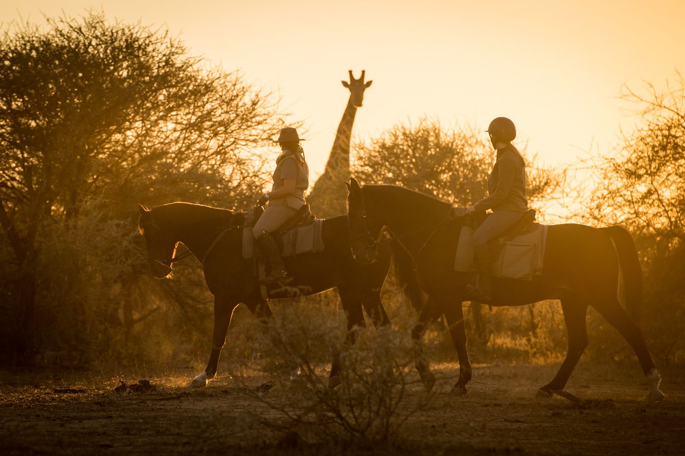 Tuli Two Safari itinerary.