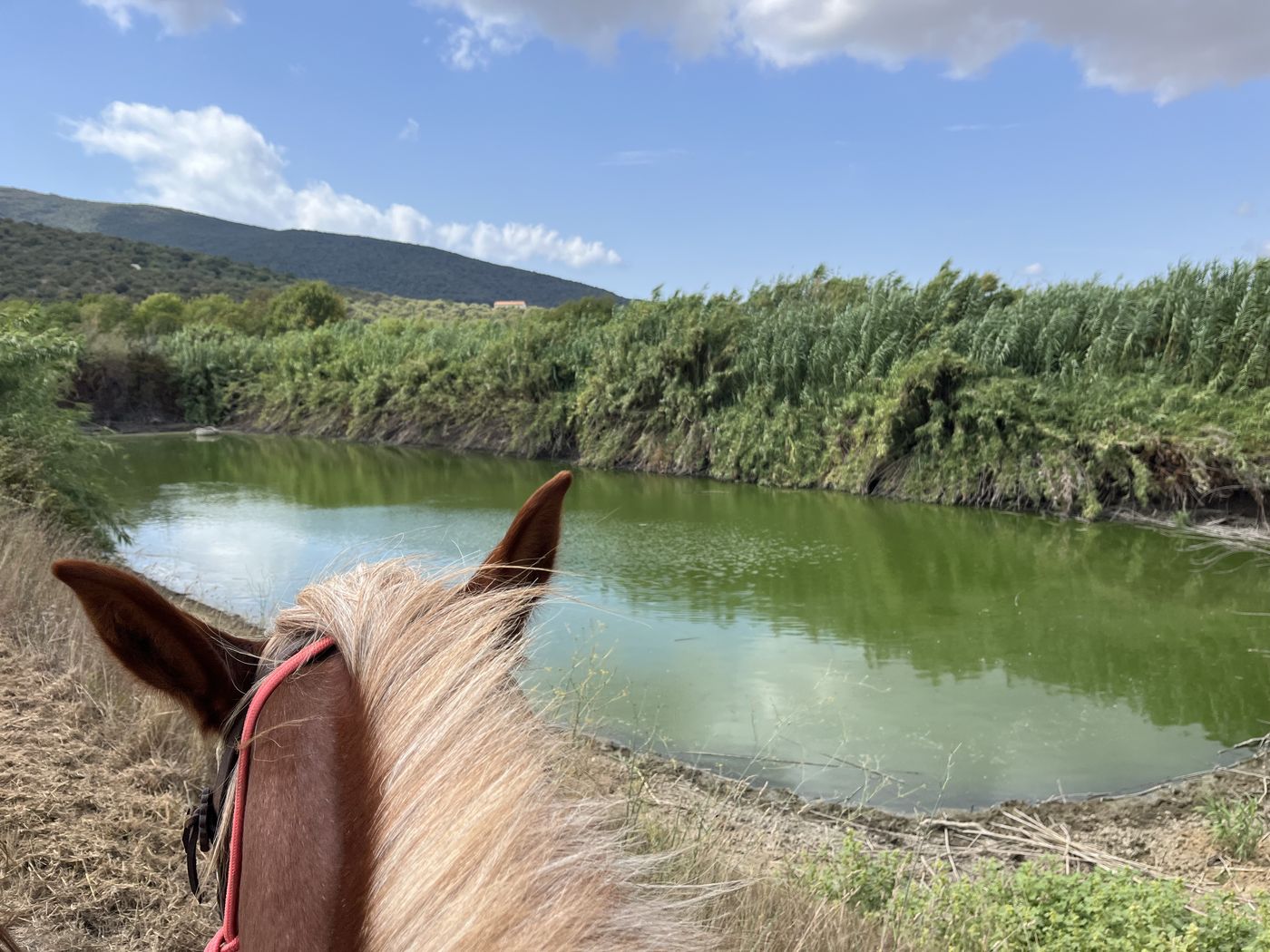 Ride and Connect itinerary.