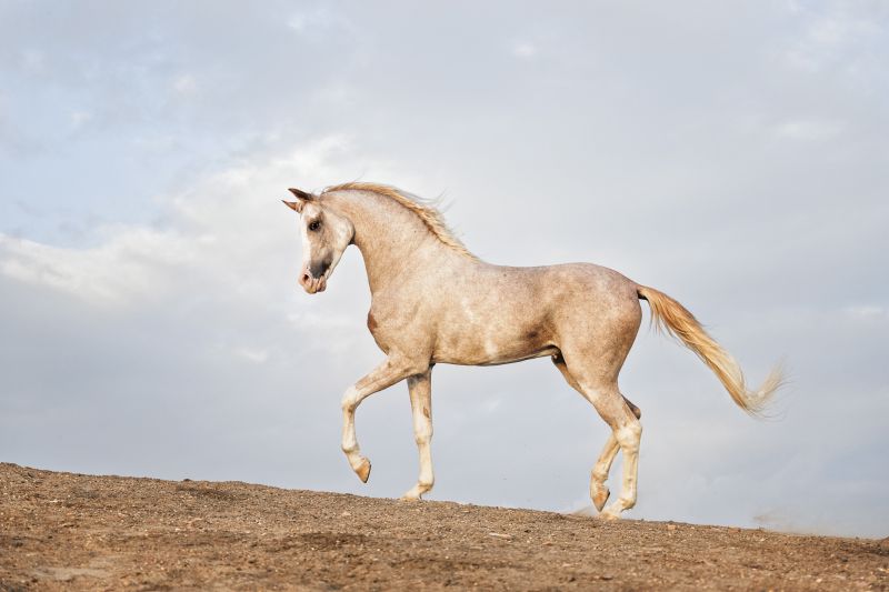 Fairytale Fayoum itinerary.