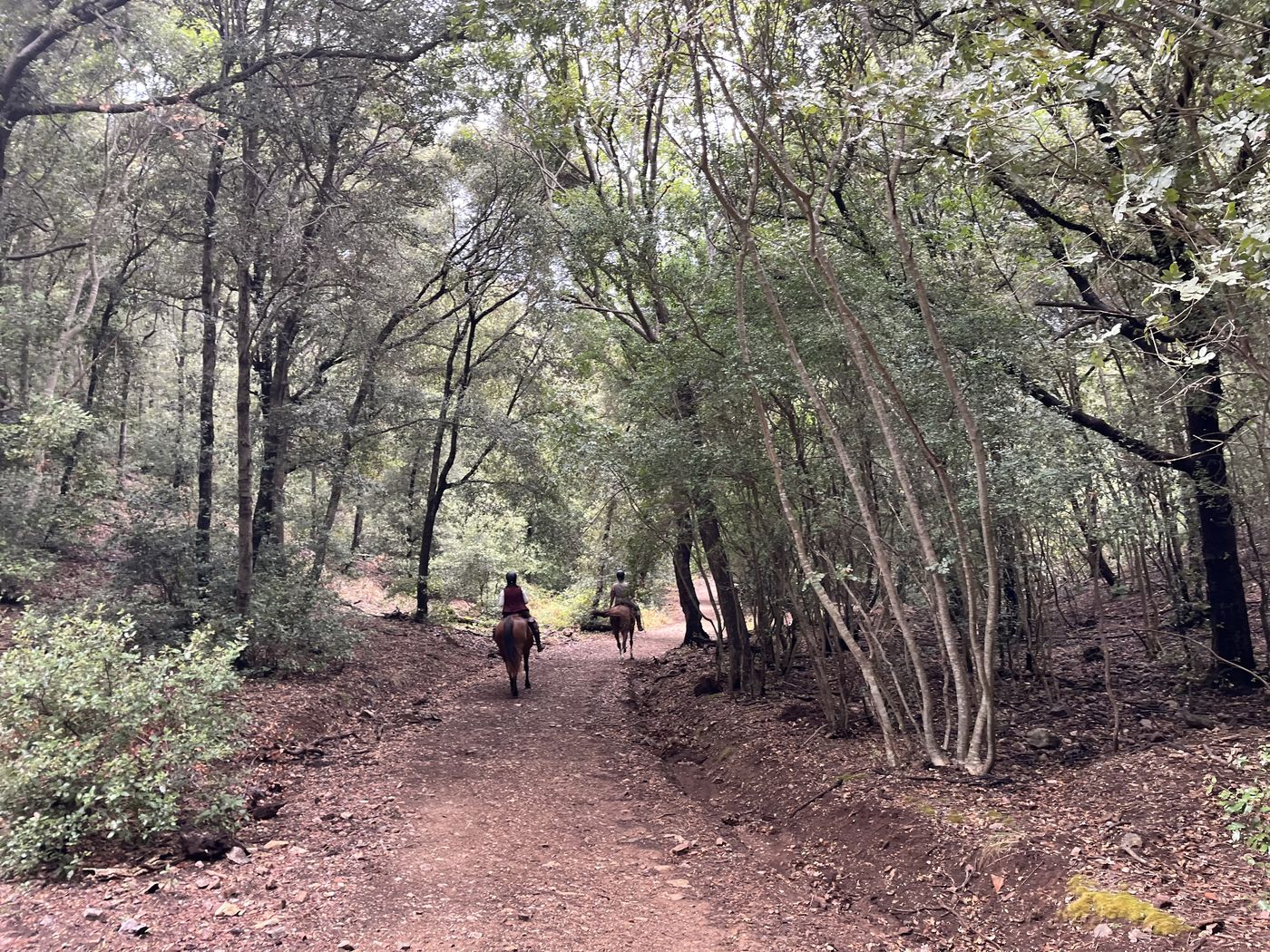 Soul of the Maremma itinerary.
