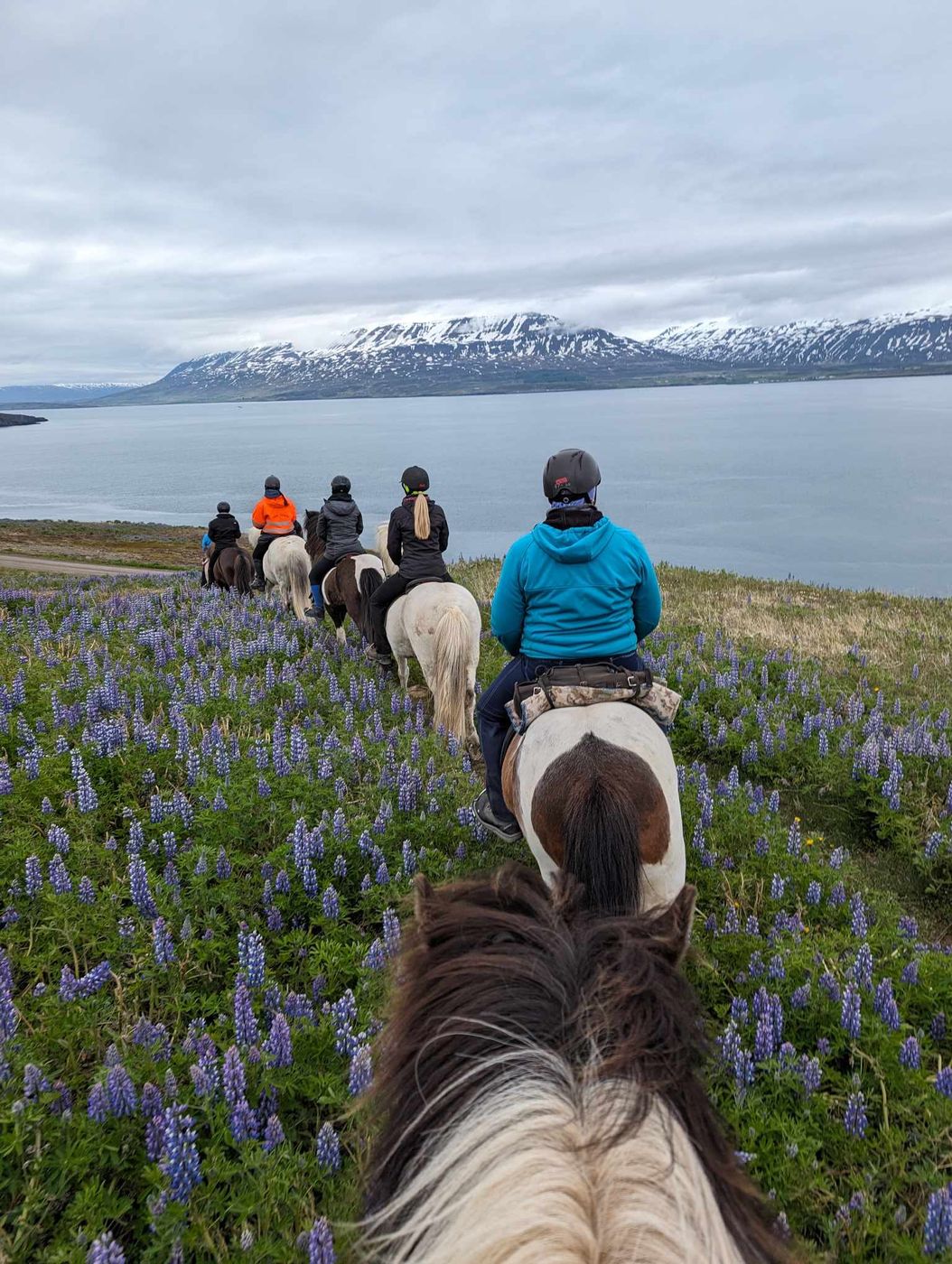 Ring Around the Midnight Sun itinerary.