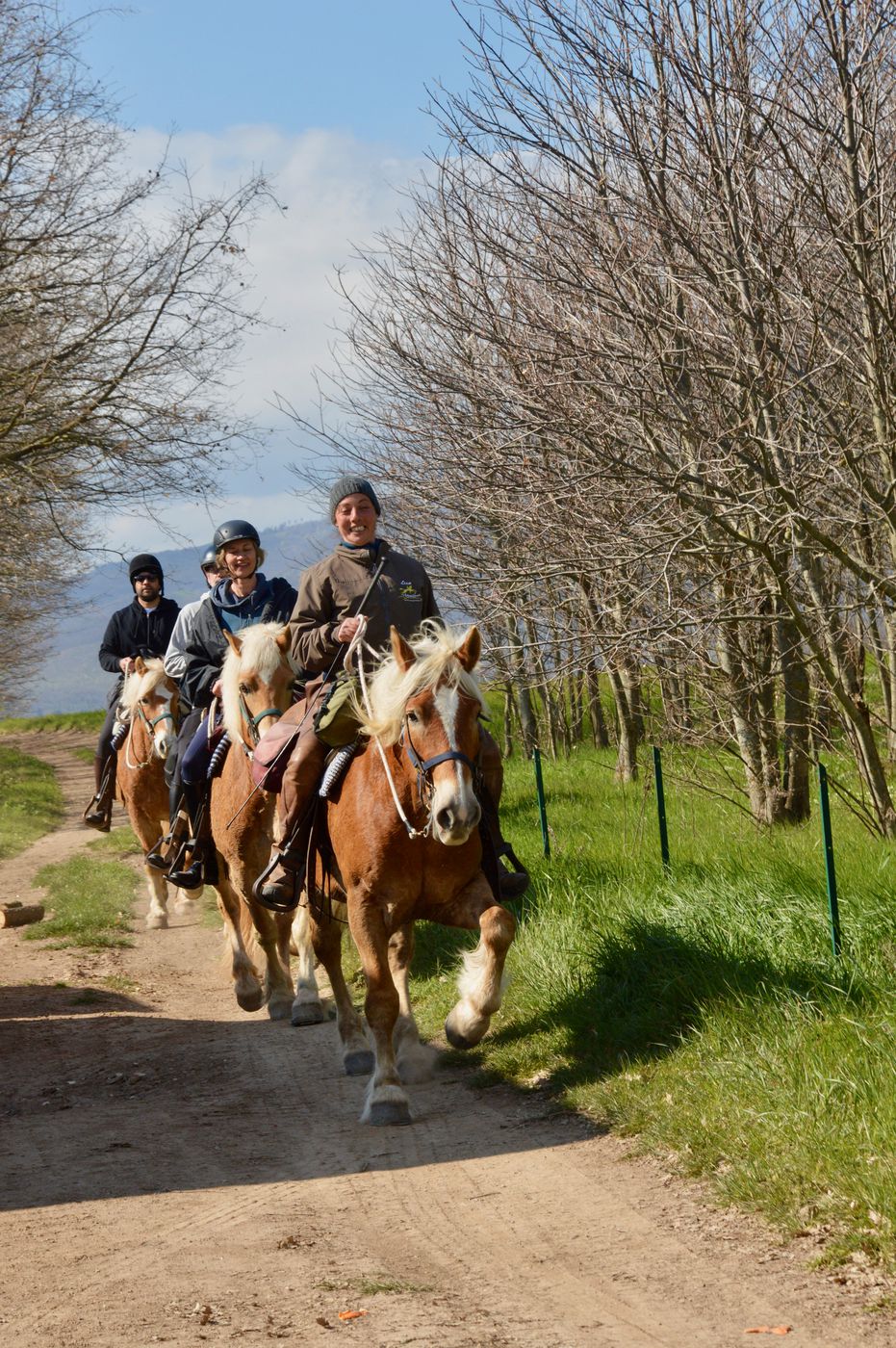 Farm Stay & Mini Trail Combination itinerary.