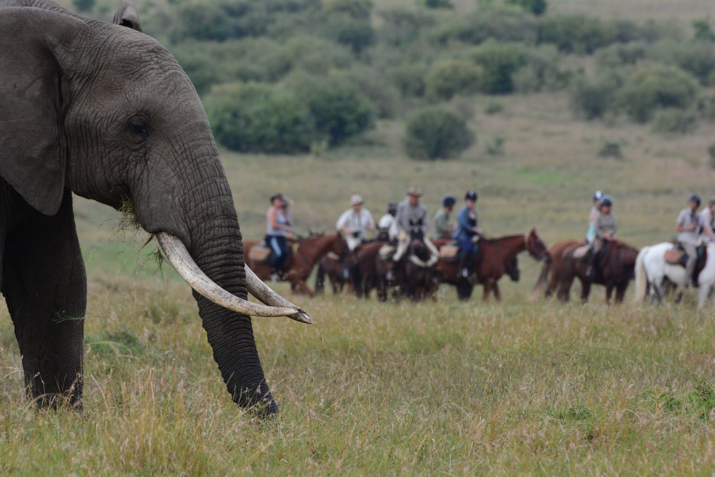 Masai Mara Ride (8 Nights) itinerary.