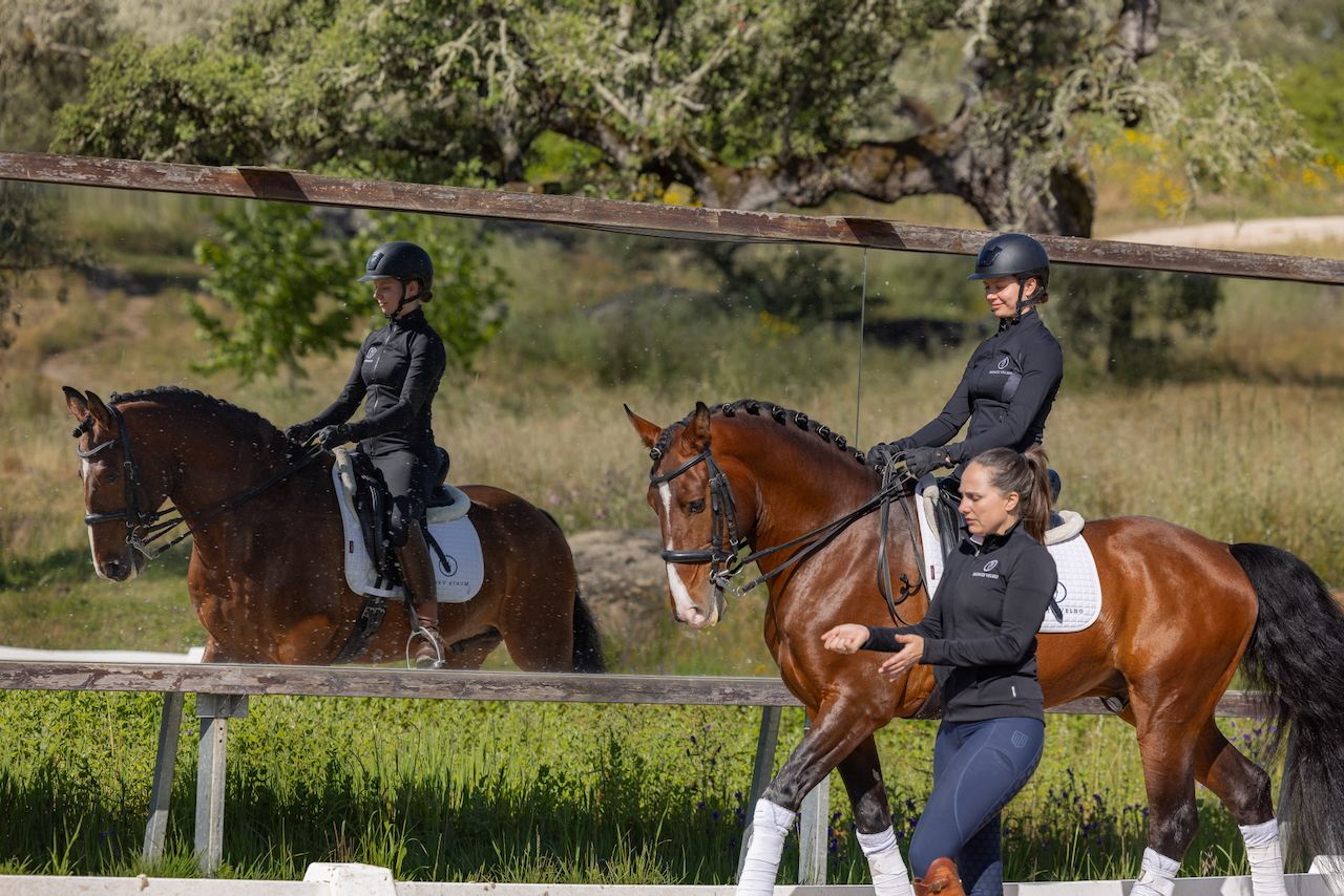 Regular Dressage Programme itinerary.