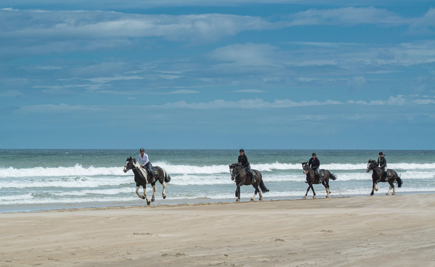 Beaches, Castles and Giants (Pure Riding, 5 Nights) itinerary.
