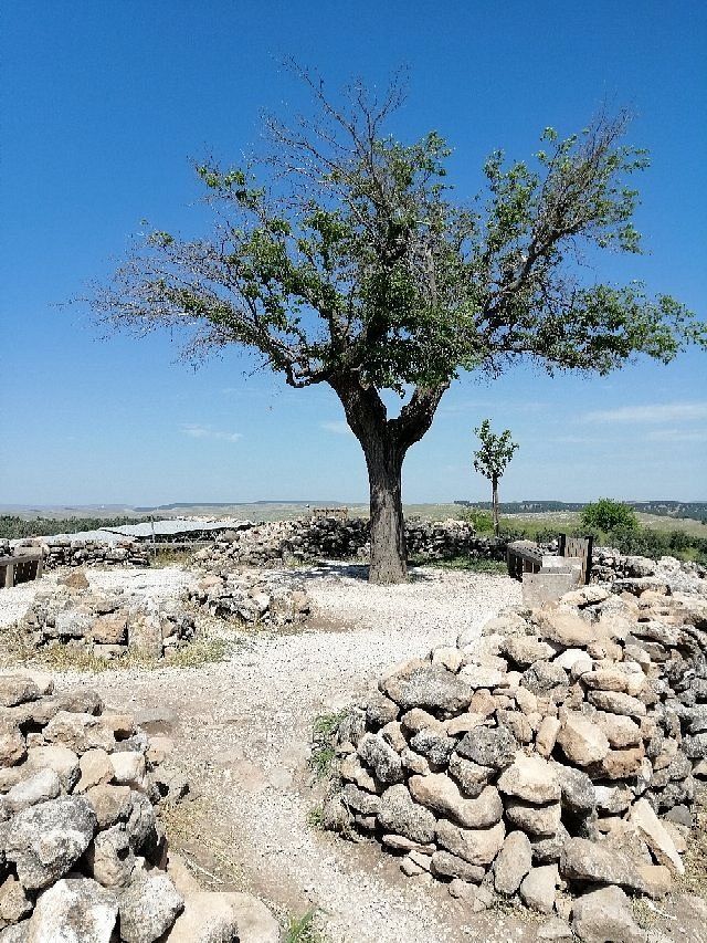 Ancient Harran Trail itinerary.