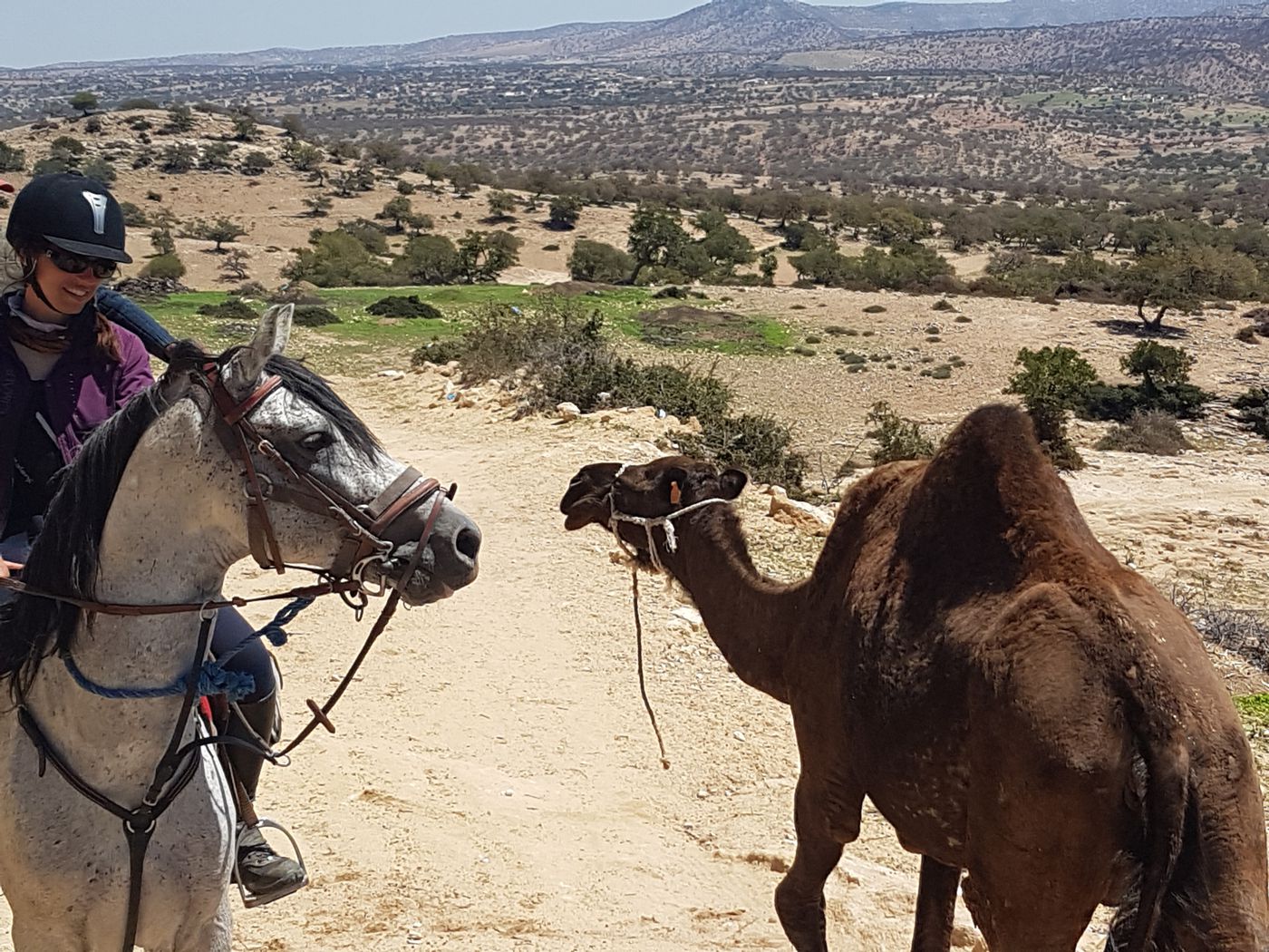 Heart of Essaouira (6 Nights) itinerary.