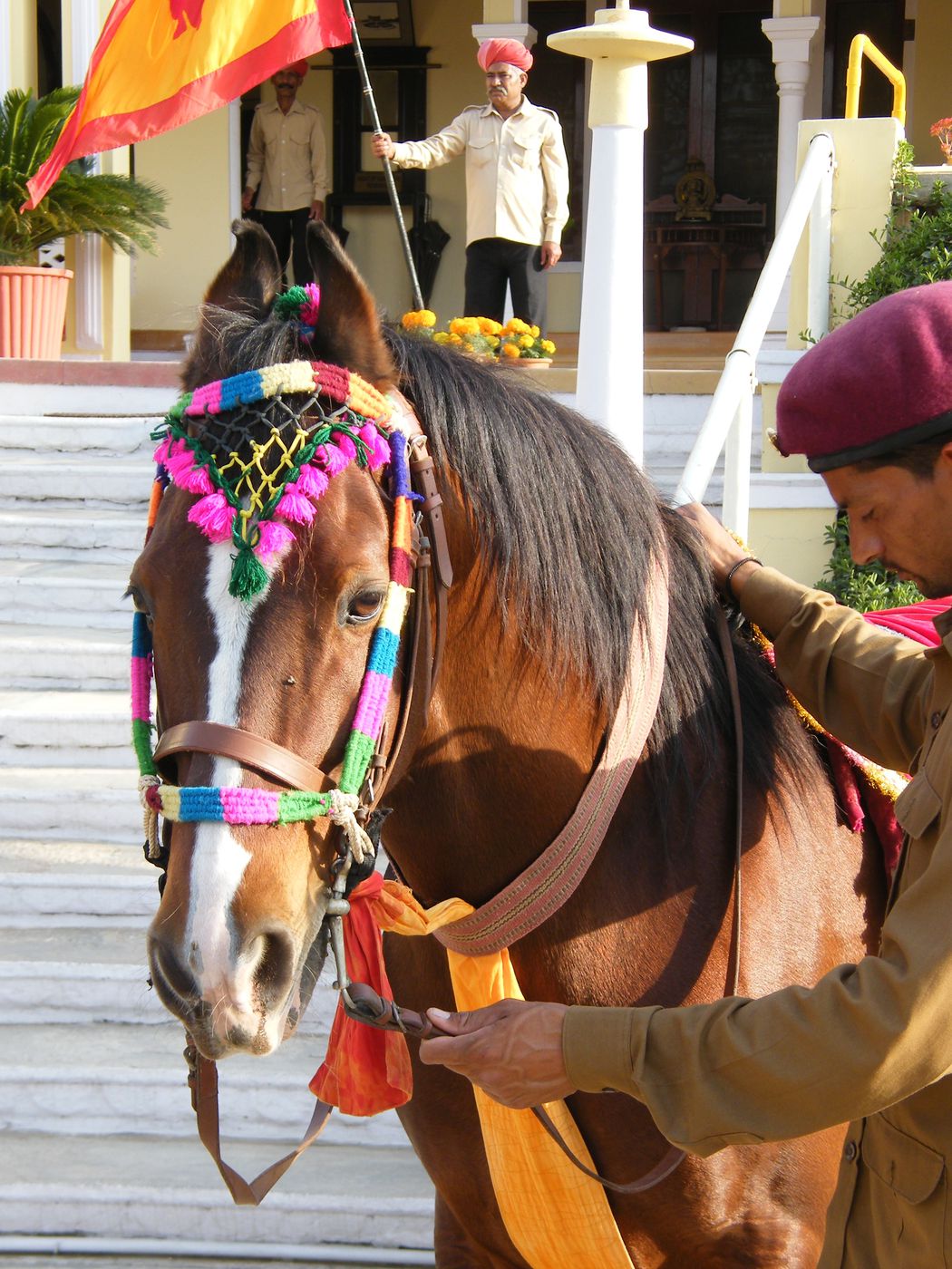 Marwari Horses and Indian Culture itinerary.