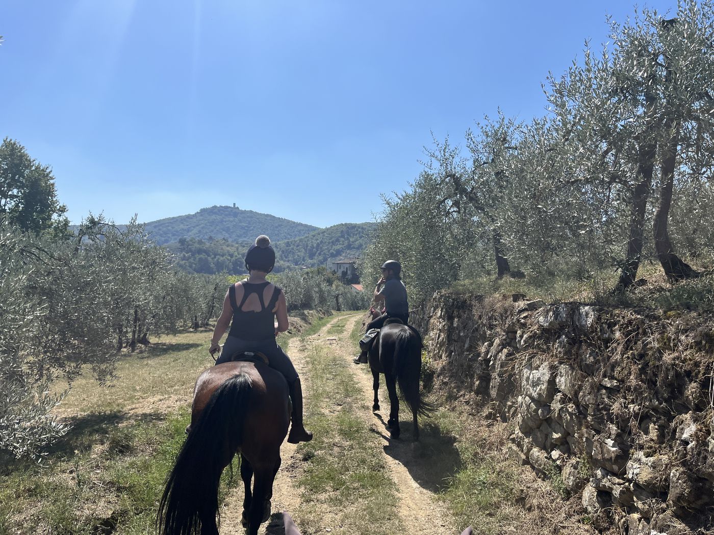 A Taste of Tuscany on Horseback itinerary.