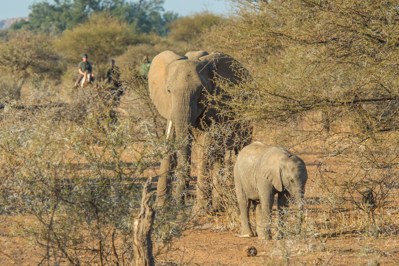 African Explorer itinerary.