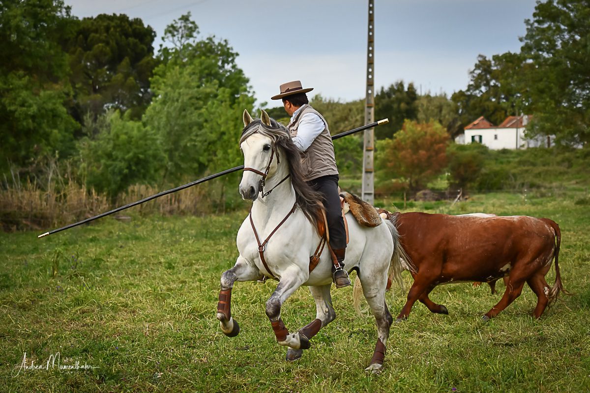 The Magic of Alentejo itinerary.