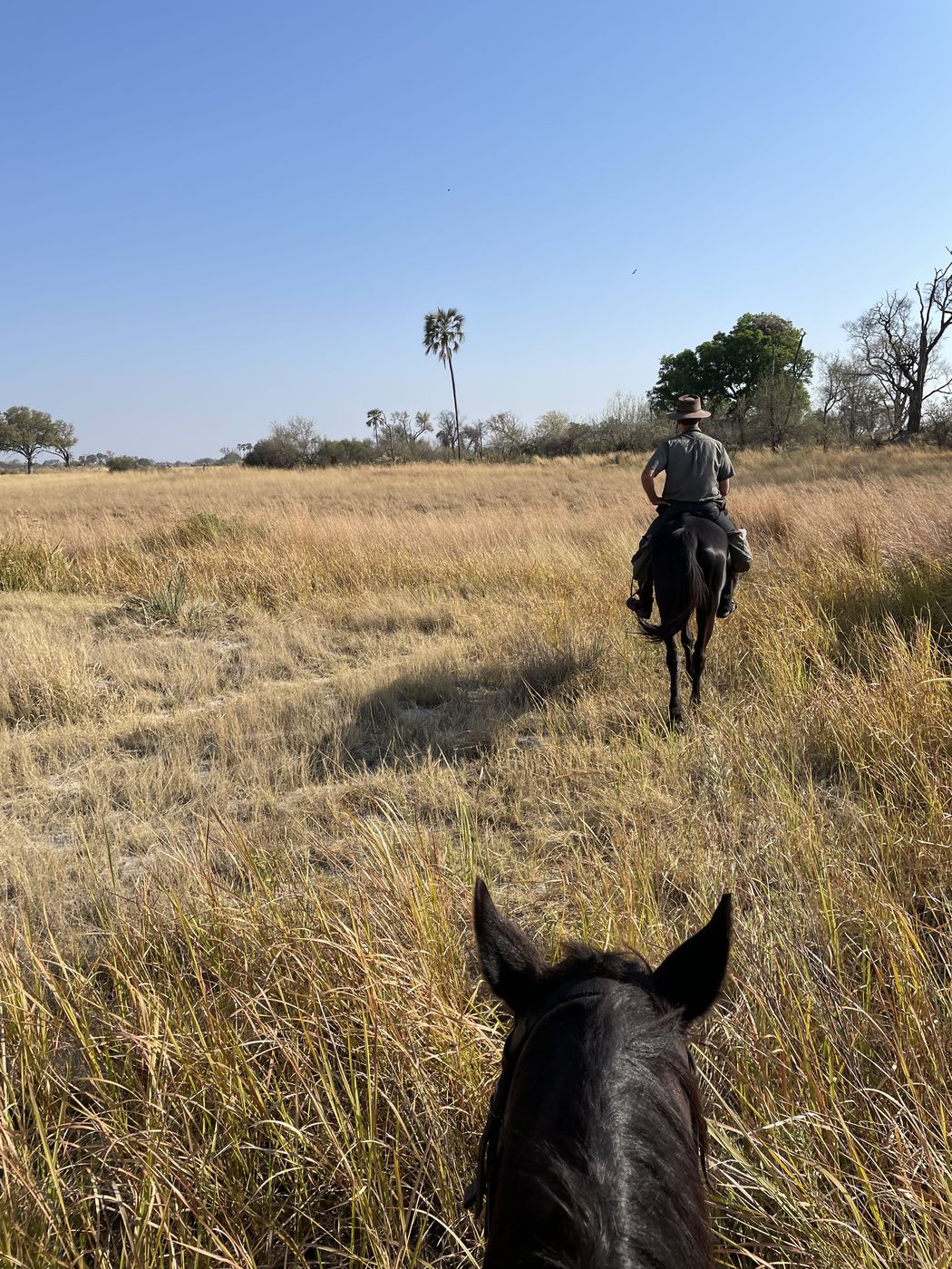 Cha Cha Metsi Safari itinerary.