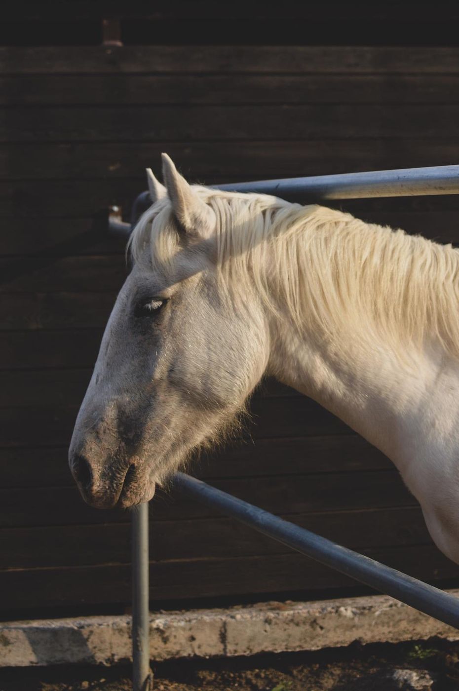 Star Ride for Beginners itinerary.