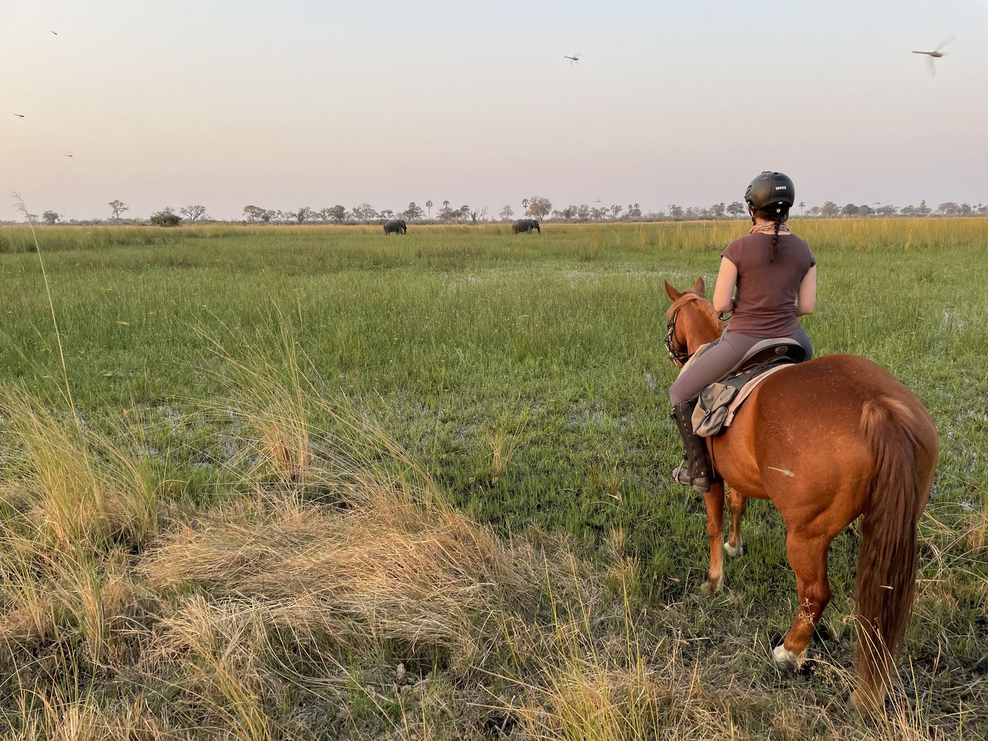Cha Cha Metsi Combo Ride itinerary.