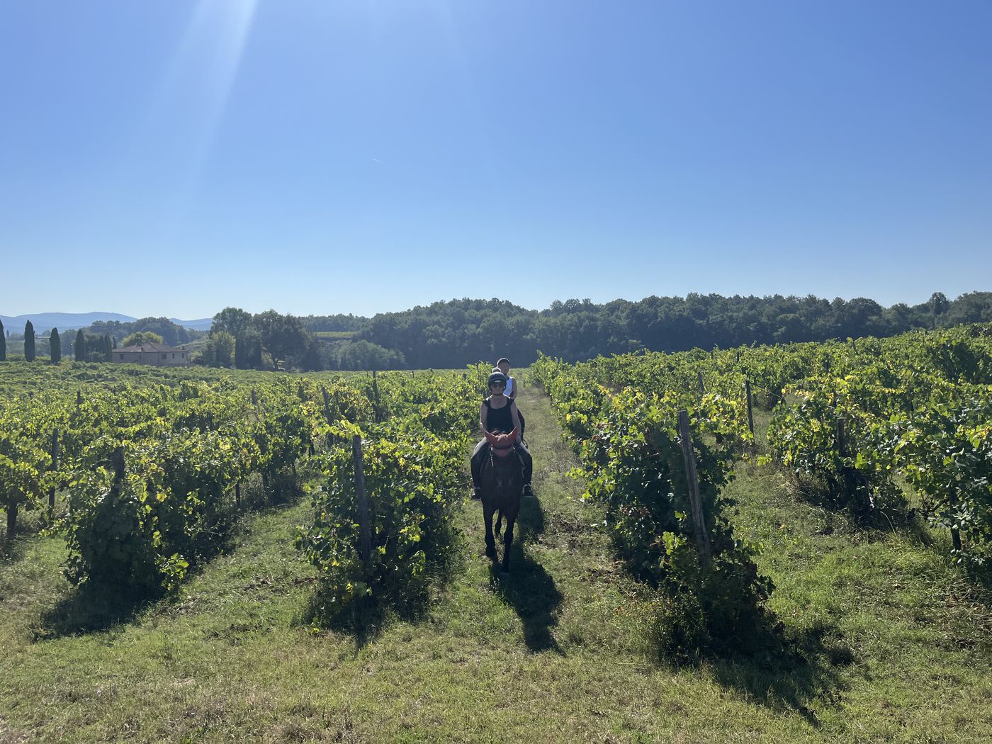 Inside a Tuscan Winery itinerary.