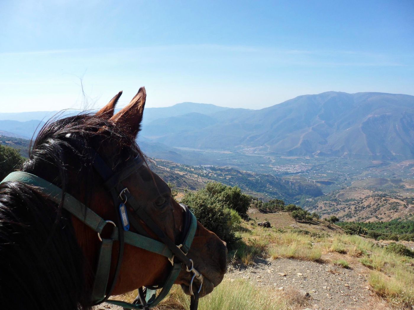 Farmhouse Based Stay itinerary.