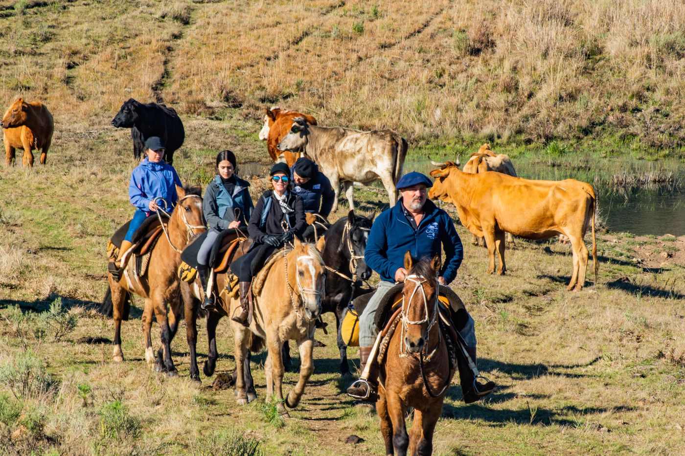 Santa Catarina Gaucho Trail itinerary.